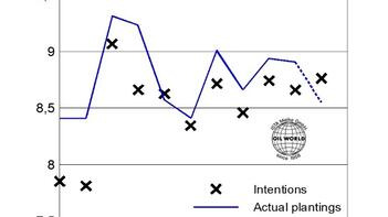 Diagramm zeigt Kanolaanbauflächen in Kanada von 2015 bis 2025 in Millionen Hektar. Linien und Punkte markieren geplante und tatsächliche Anpflanzungen. (automatisch generiert durch KI)