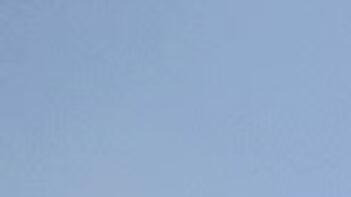 Drei Personen stehen in einem blühenden Rapsfeld unter blauem Himmel mit Wolken. (automatisch generiert durch KI)