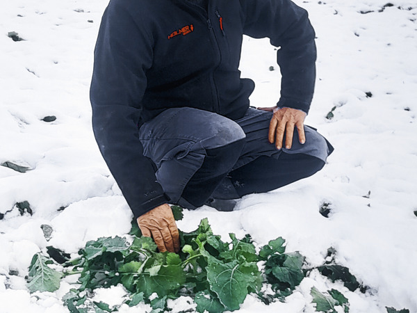 Bernd Halbfaß, 37574 Einbeck (Niedersachsen)