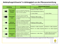 Schadschwellen