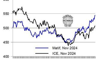 Diagramm der täglichen Raps- und Canola-Futures in US-Dollar pro Tonne von August 2023 bis Mai 2024, mit Matif und ICE-Linien. (automatisch generiert durch KI)